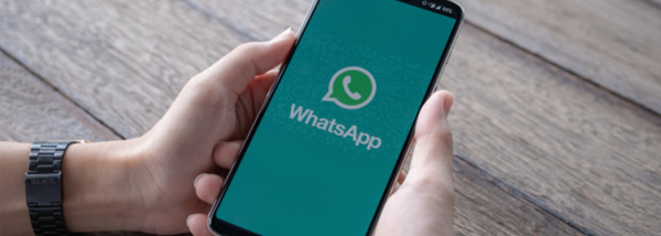 Saiba como montar grupos de corretores no WhatsApp